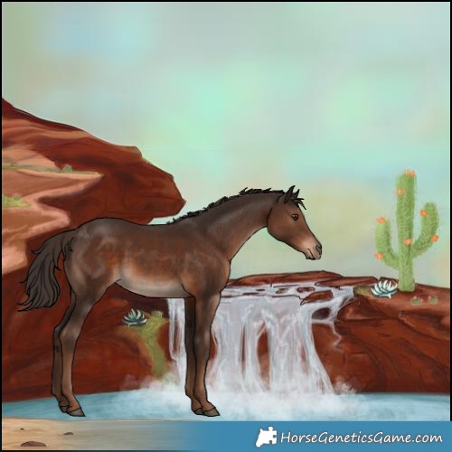 Horse Color:White Spotted Liver Chestnut