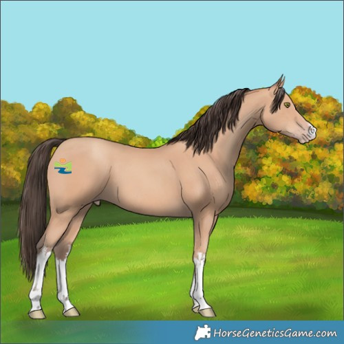 Horse Color:White Spotted Amber Champagne 