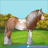 Horse Color:Gray Gold Champagne Tobiano Frame