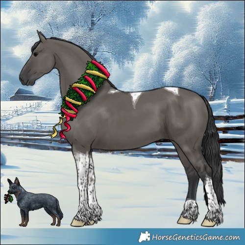 Horse Color:Grullo Tobiano 