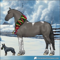 Horse Color:Grullo Tobiano