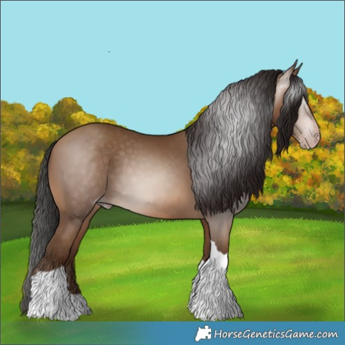 Horse Color:Gray Amber Champagne Tobiano 