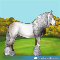 Horse Color:Gray Amber Champagne Tobiano 