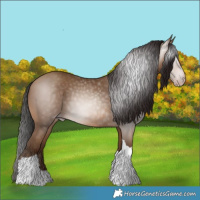 Horse Color:Gray Amber Champagne Tobiano 