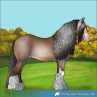 Horse Color:Gray Amber Champagne Tobiano