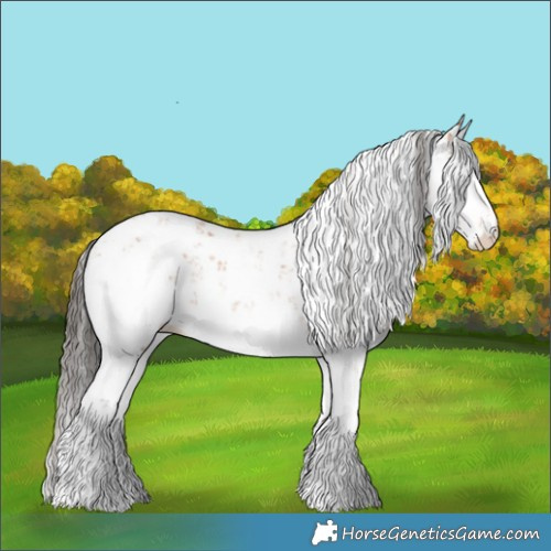 Horse Color:Bay Sabino 