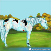 Horse Color:Thunderstruck Silver Buckskin Ice Pearl Splash Tobiano 