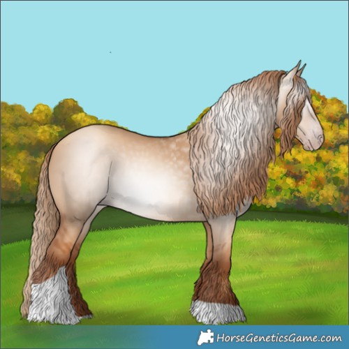 Horse Color:Gray Gold Champagne Dun Tobiano 