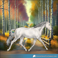 Horse Color:Cremello Roan
