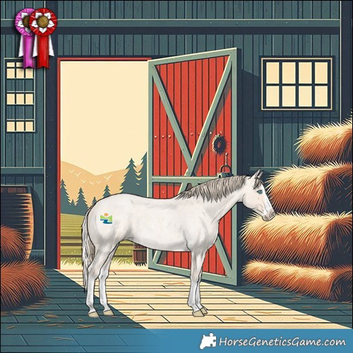 Horse Color:Perlino Roan Splash 