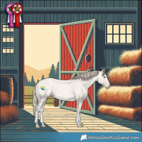 Horse Color:Perlino Roan Splash 