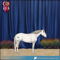 Horse Color:Perlino Roan Splash 