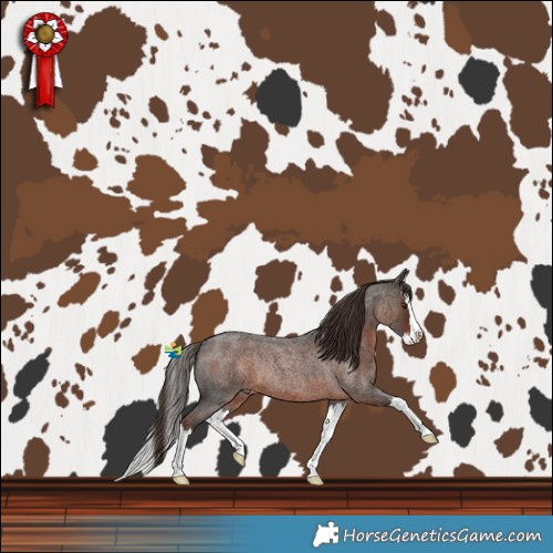 Horse Color:Liver Red Roan Splash Rabicano 