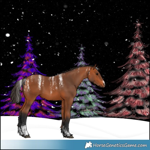 Horse Color:Powder White Bay 