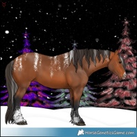 Horse Color:Powder White Bay 