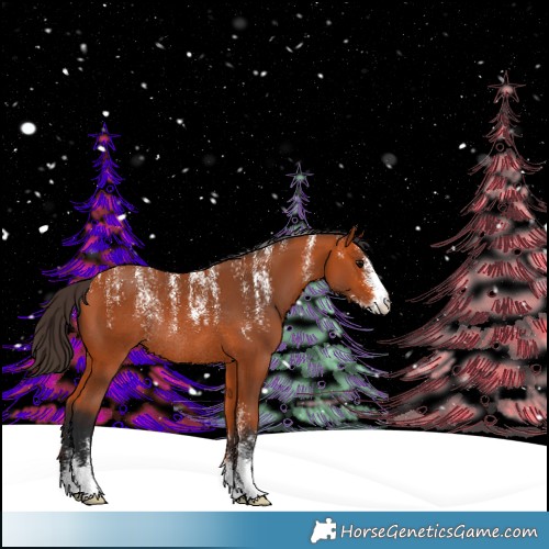 Horse Color:Powder White Bay Rabicano 