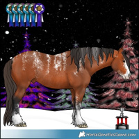 Horse Color:Powder White Bay Rabicano