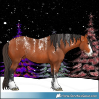 Horse Color:Powder White Bay Rabicano 