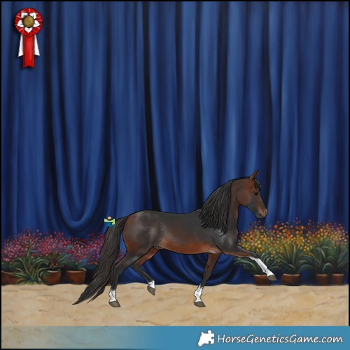 Horse Color:Bay Tobiano Rabicano 