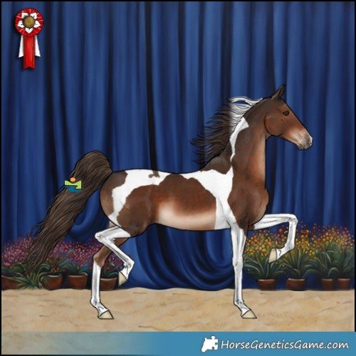 Horse Color:Liver Chestnut Tobiano 
