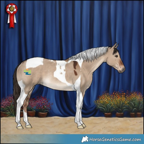 Horse Color:Liver Red Dun Tobiano Rabicano 