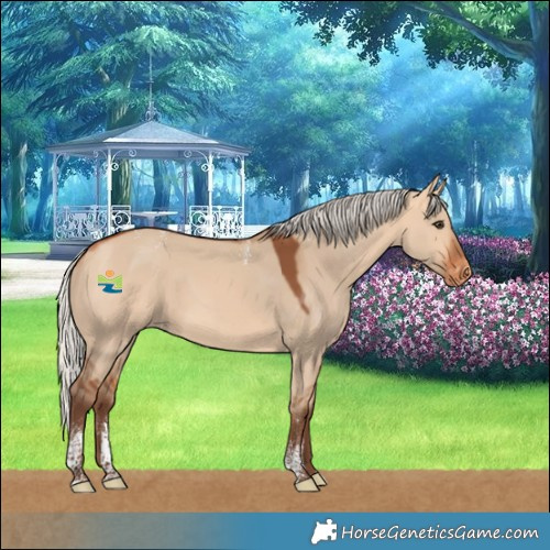 Horse Color:Powder White Silver Bay Dun Varnish Rabicano 