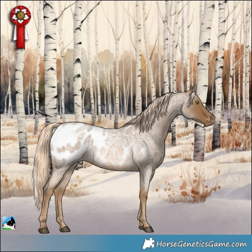 Horse Color:Chocolate Palomino Roan Appaloosa