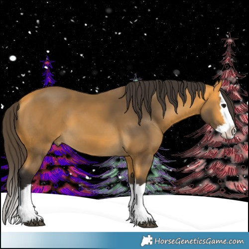 Horse Color:Buckskin Splash 