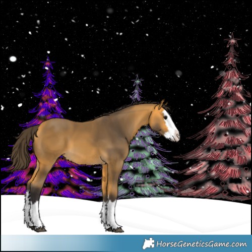 Horse Color:Buckskin Splash 