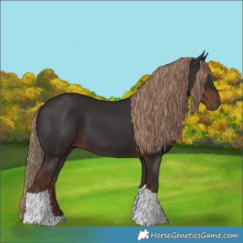 Horse Color:Liver Chestnut Tobiano 