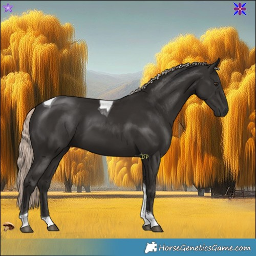 Horse Color:Liver Chestnut Mushroom Tobiano