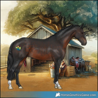 Horse Color:Brown 