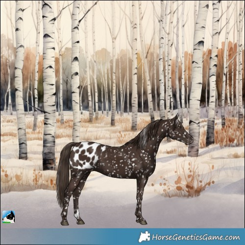 Horse Color:Liver Chestnut Blanket 