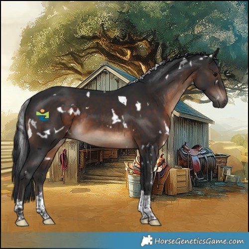 Horse Color:White Spotted Brown Tobiano 