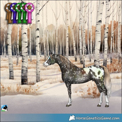 Horse Color:Liver Chestnut Splash Blanket 