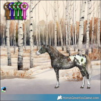 Horse Color:Liver Chestnut Splash Blanket 