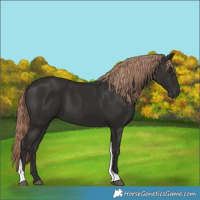 Horse Color:Liver Chestnut Tobiano 