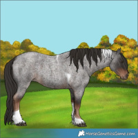 Horse Color:Liver Red Roan Tobiano