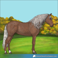 Horse Color:Silver Black 