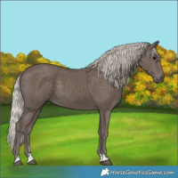 Horse Color:Silver Black 