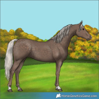 Horse Color:Silver Black 
