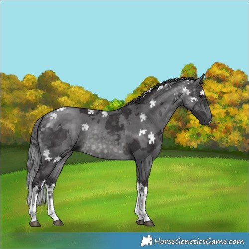 Horse Color:Platinum White Spotted Buckskin Merle Tobiano 