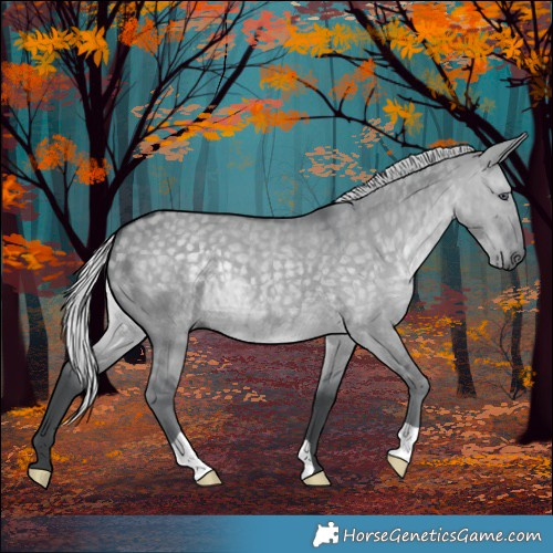 Horse Color:Silver Grullo Chinchilla 