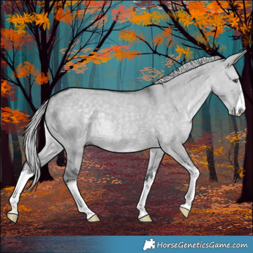 Horse Color:White Spotted Silver Grullo Chinchilla 