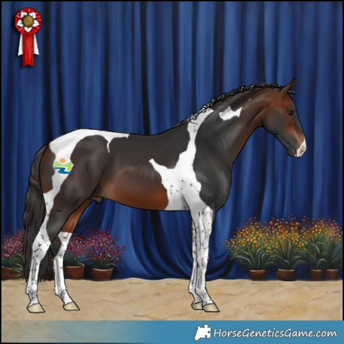 Horse Color:Bay Tobiano 