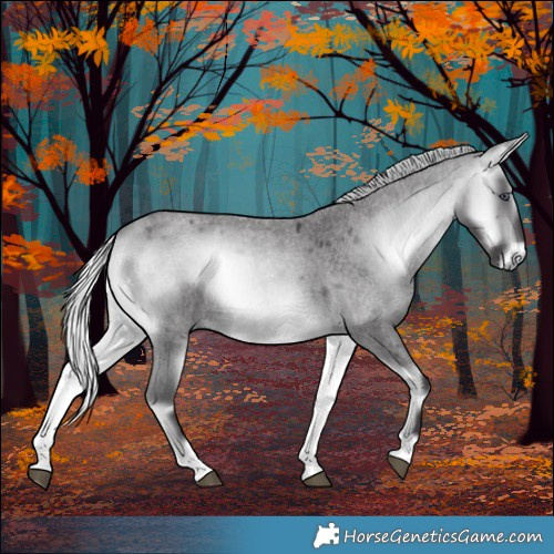 Horse Color:Silver Buckskin Chinchilla Roan Onyx 