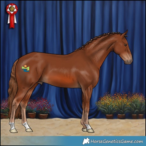 Horse Color:Chestnut 