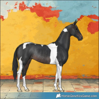 Horse Color:Brown Tobiano Rabicano 