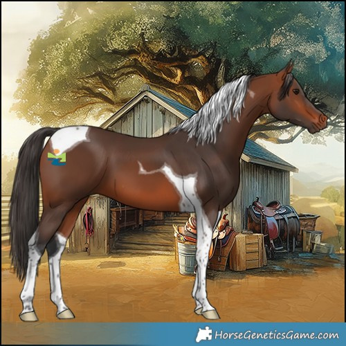 Horse Color:Bay Tobiano 