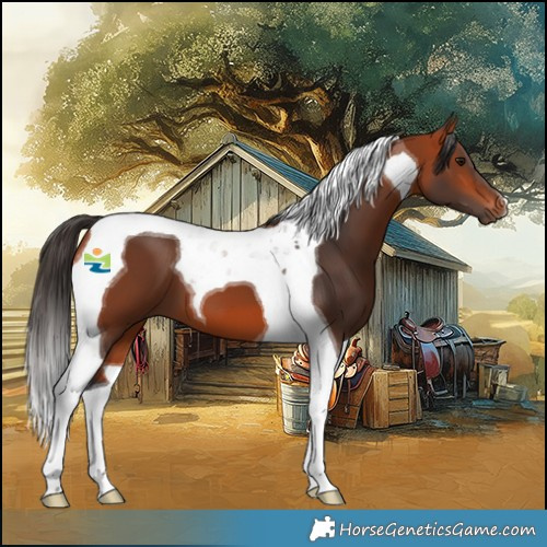 Horse Color:Bay Tobiano 